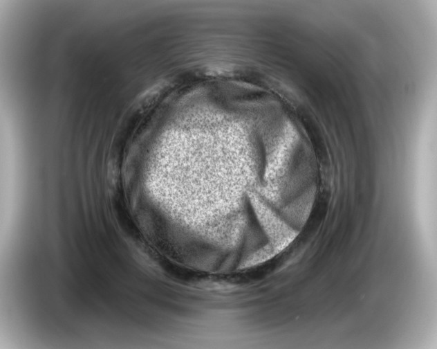 X0000085800648200704091449