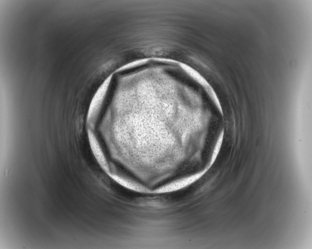 X0000085800652200704091449