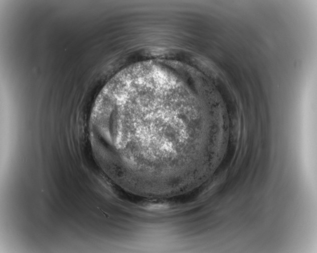 X0000085800653200704091449