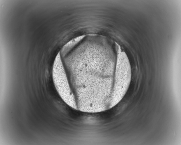 X0000085800655200704091449