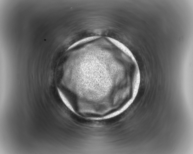 X0000085800656200704091449