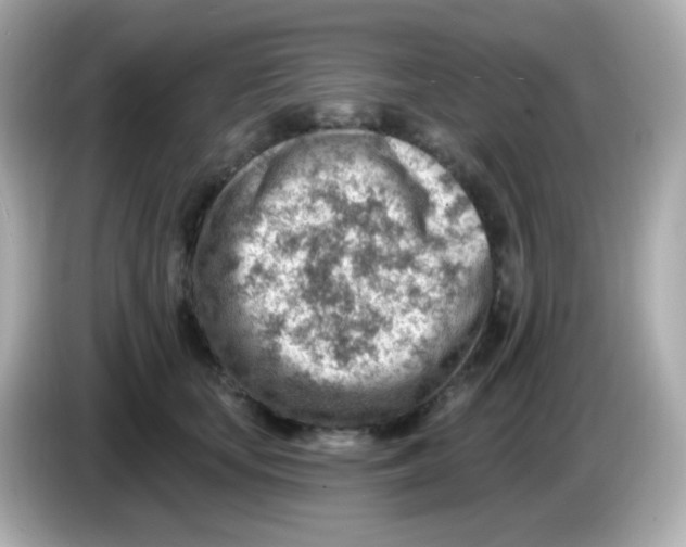 X0000085800659200704091449