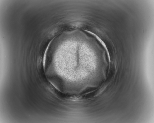 X0000085800660200704091449