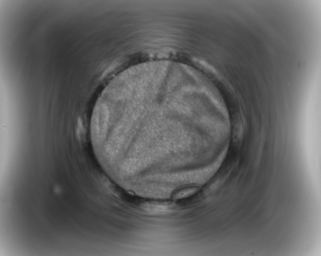 X0000085800661200704091449