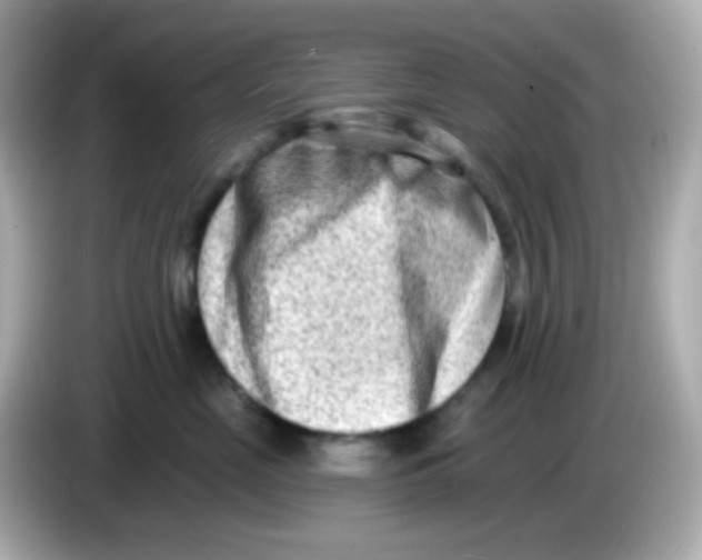 X0000085800669200704091450