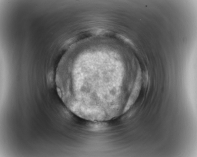 X0000085800670200704091450