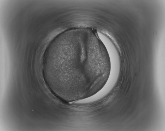 X0000085800673200704091449