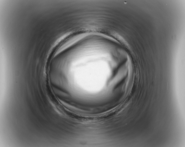 X0000085800674200704091449