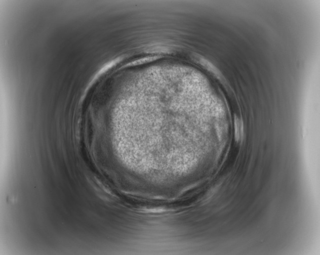 X0000085800675200704091449