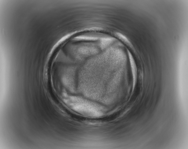 X0000085800676200704091449