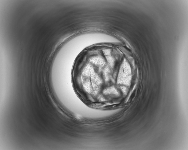 X0000085800677200704091449