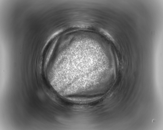 X0000085800679200704091449