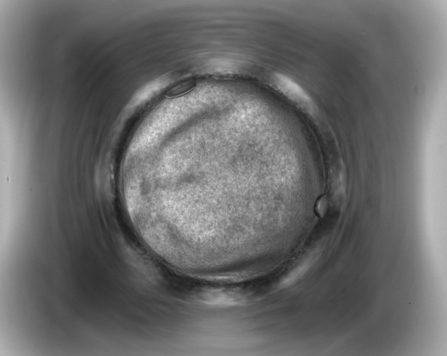 X0000085800680200704091449