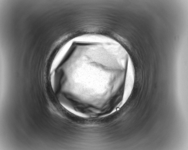 X0000085800682200704091449