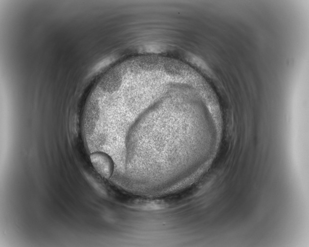 X0000085800683200704091449