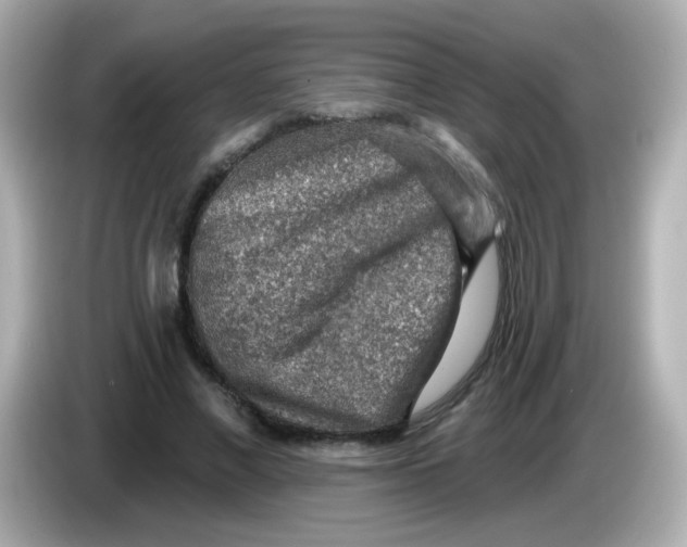 X0000085800685200704091449