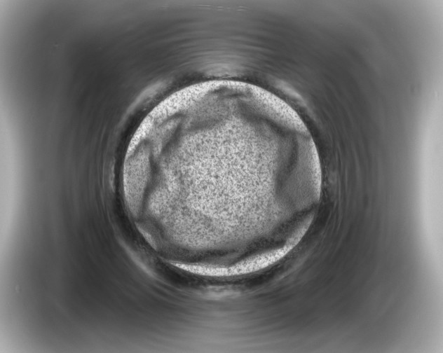 X0000085800686200704091449