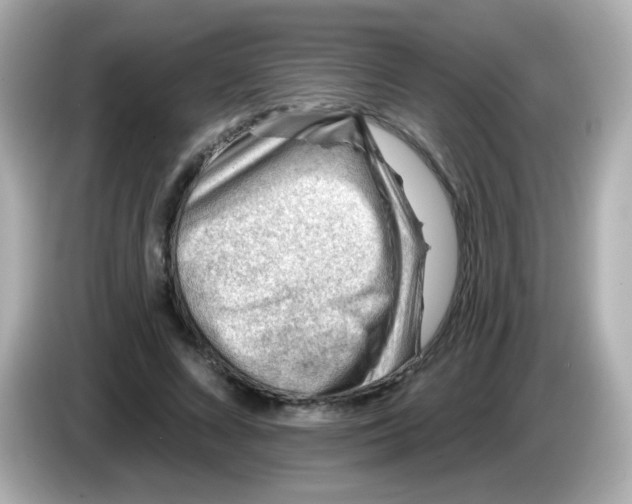 X0000085800688200704091449