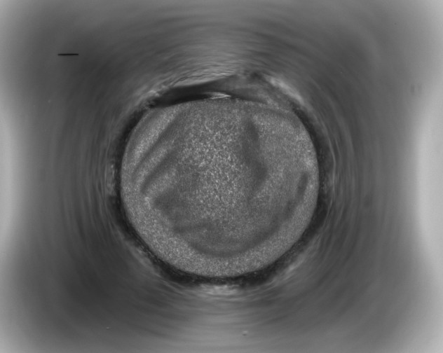 X0000085800689200704091449