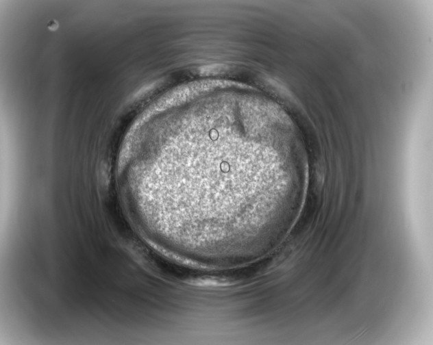 X0000085800691200704091449