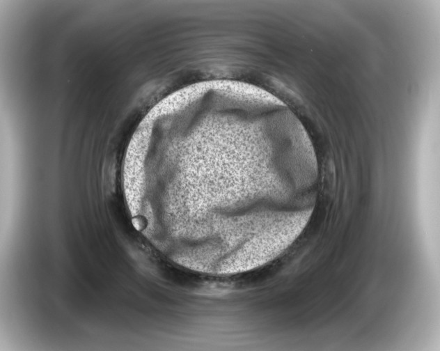 X0000085800694200704091449