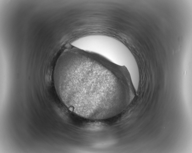 X0000085800695200704091449