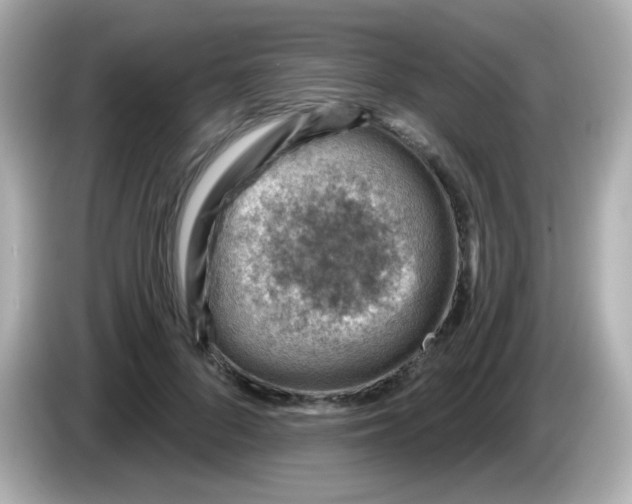 X0000085800696200704091449