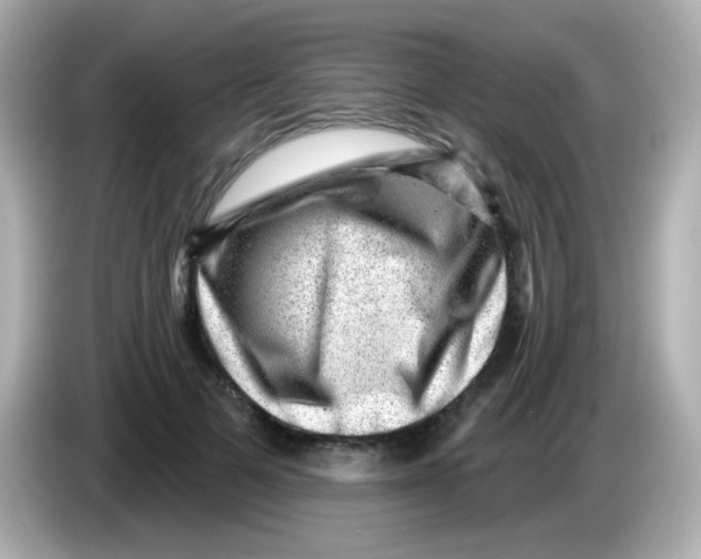 X0000085800697200704091449