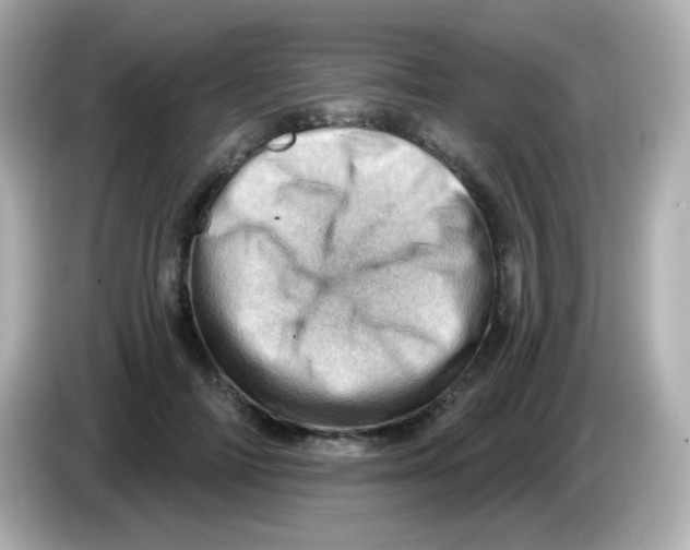 X0000085800698200704091449