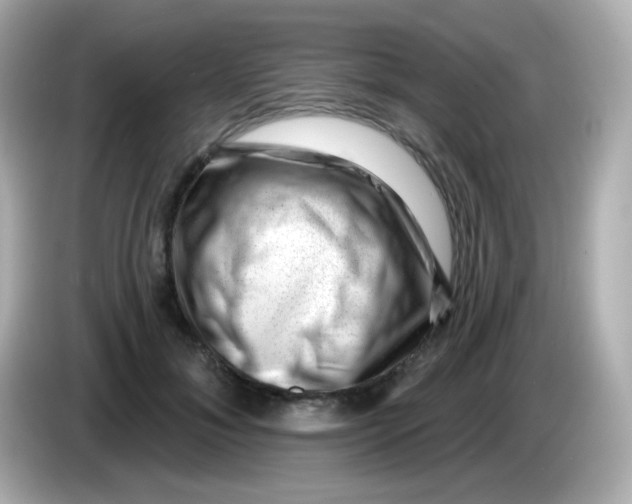 X0000085800700200704091449