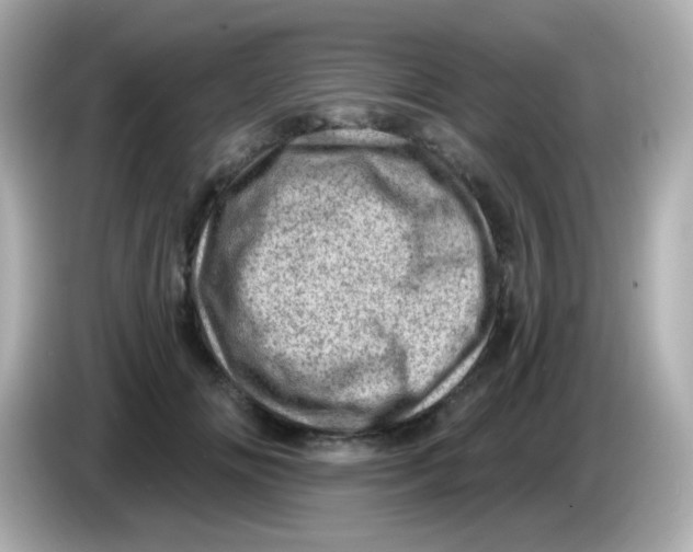 X0000085800702200704091449