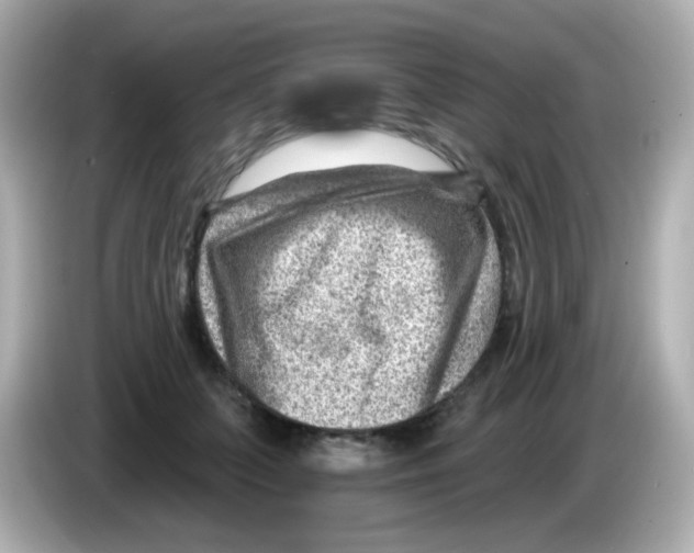 X0000085800703200704091449