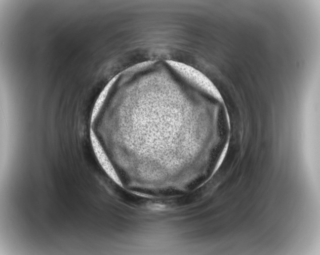 X0000085800706200704091449