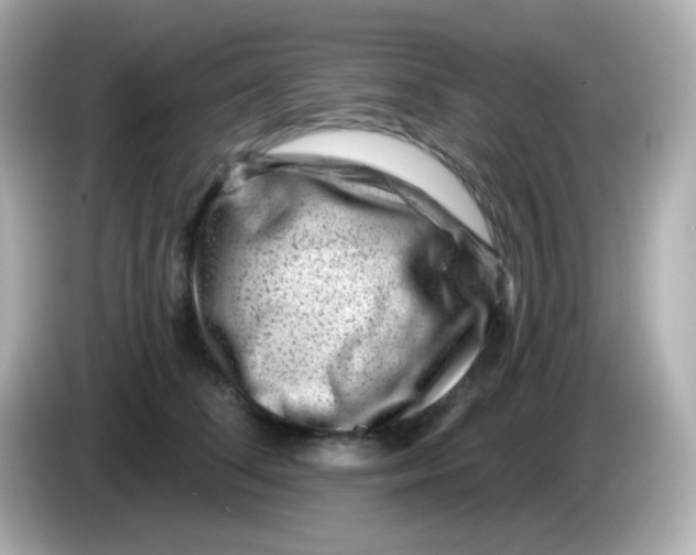 X0000085800708200704091449