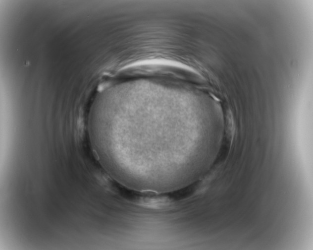 X0000085800716200704091449