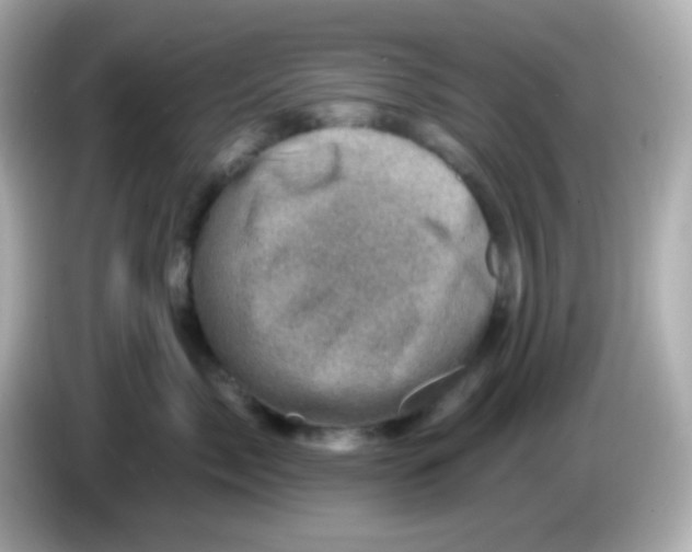 X0000085800717200704091449