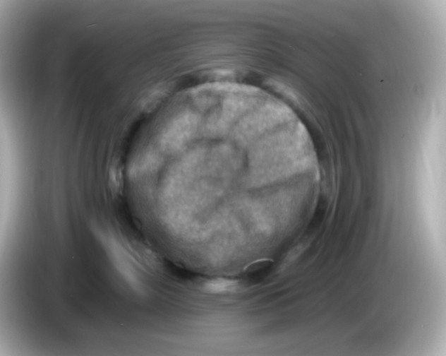 X0000085800718200704091449