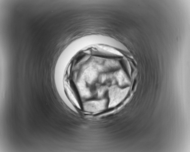 X0000085800720200704091449