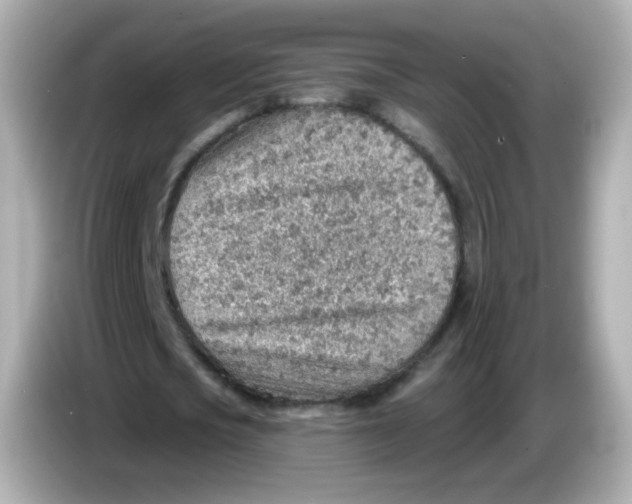 X0000085800721200704091448