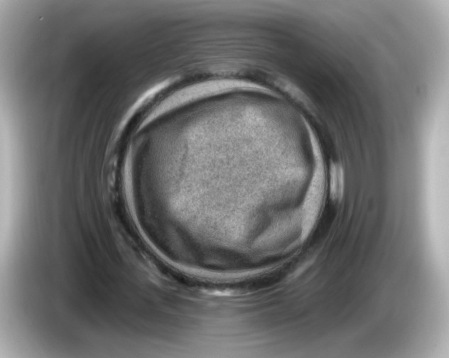 X0000085800723200704091448