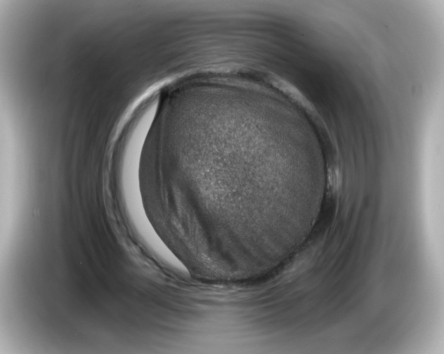 X0000085800724200704091448