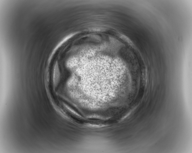 X0000085800726200704091448