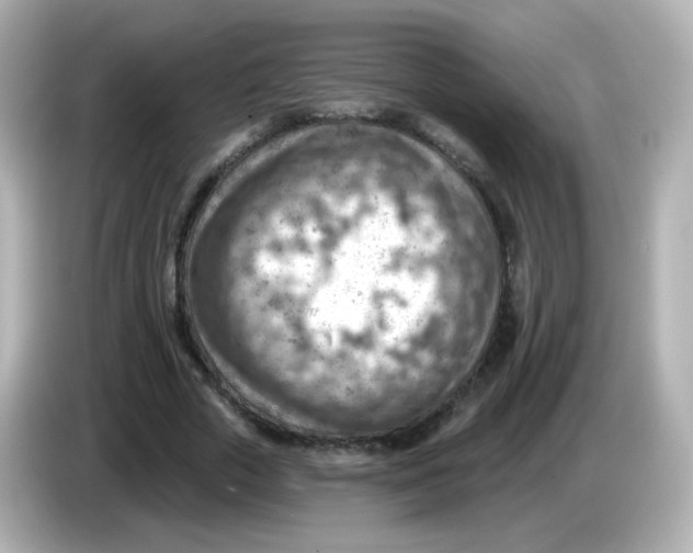 X0000085800729200704091448