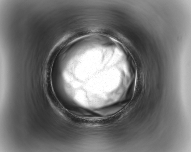 X0000085800730200704091448