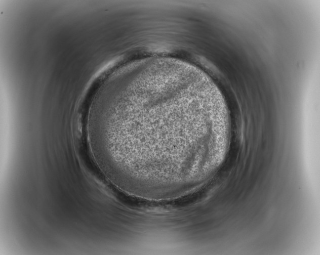 X0000085800731200704091448