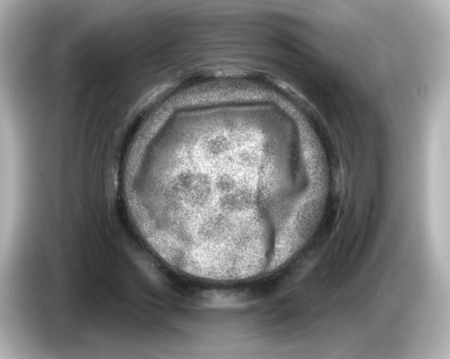 X0000085800733200704091448