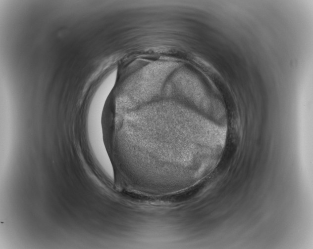 X0000085800734200704091448