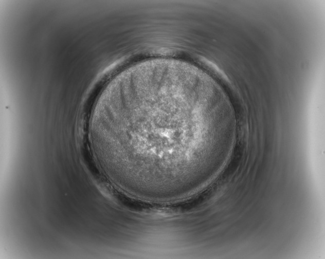 X0000085800736200704091448