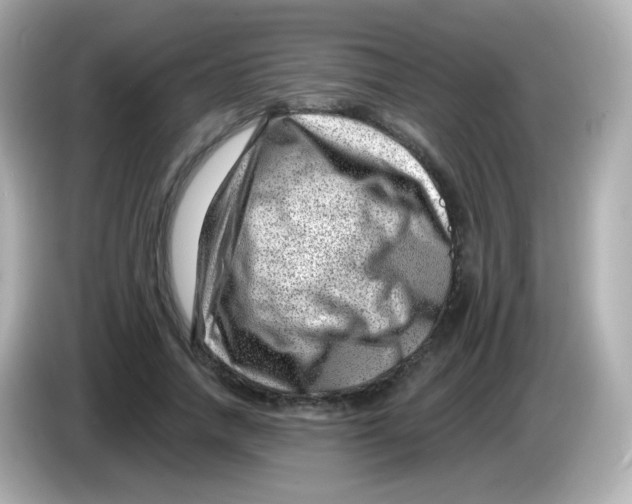 X0000085800738200704091448