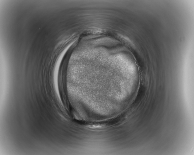 X0000085800740200704091448